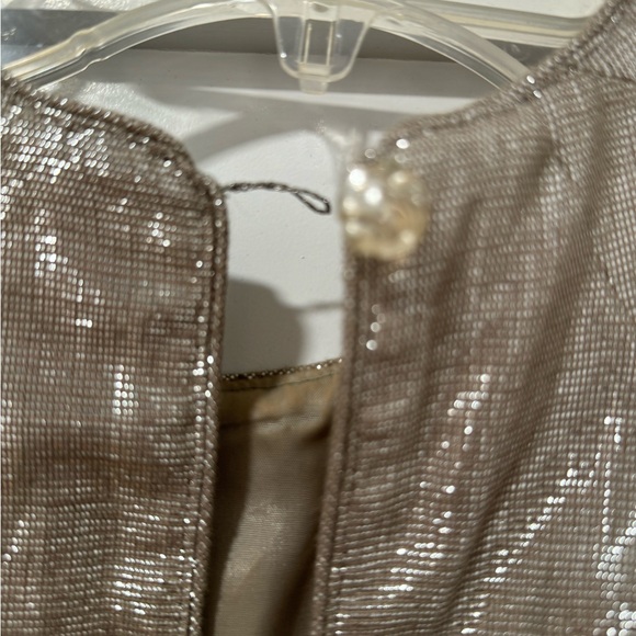 Anna Sui silvery Metallic Linen Blend Dress size 0 - Picture 5 of 12